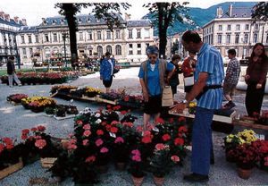 Marché au fleurs place Verdun 2000