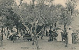 Promenade sous les Tamaris 1891
