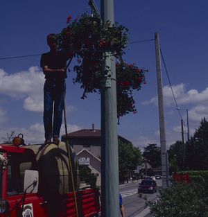 Entretien des massifs floraux 1995