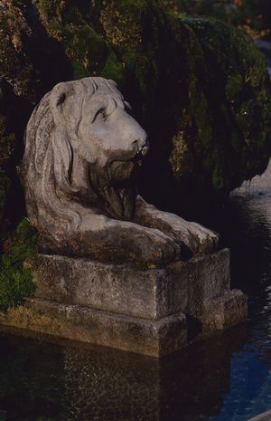 Le lion veille sur l'église st Bruno (Lion de la fontaine place de la république) 1984