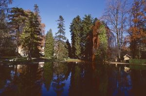 Le parc de Voiron en automne 1982