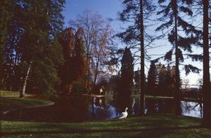 Le bassin du parc de Voiron 1982