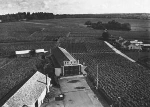 Palais du Muscadet et vignobles 1950