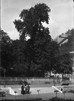 Promenade dans les jardins 1920