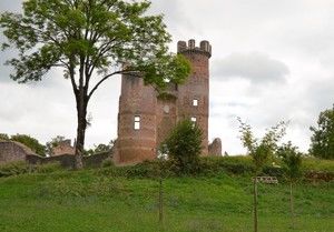 Ruine du château 2015