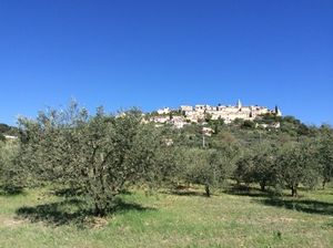 Village provençal dans les champs d'oliviers 2014
