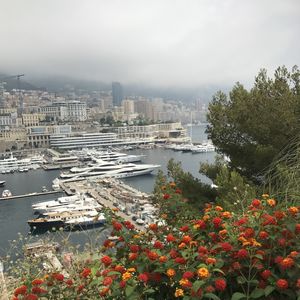 Port de Monaco et le nouveau YCM 2017