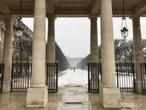 Le jardin du Palais Royal 2018
