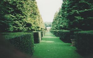 Jardin d'Eyrignac 2000