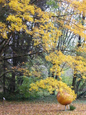 Arboretum ruffier-lanche 2013