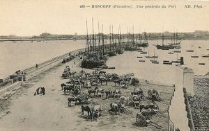 Roscoff, vue générale du Port 1900